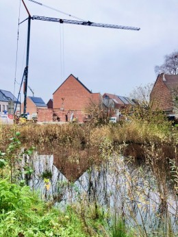 Project afbeelding voor Yard WAL.20 lanzado