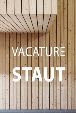 Project afbeelding voor ¡Los arquitectos de STAUT buscan refuerzos!